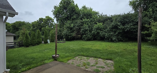 4020 Greentree Rd, Versailles, KY 40383 - view of yard