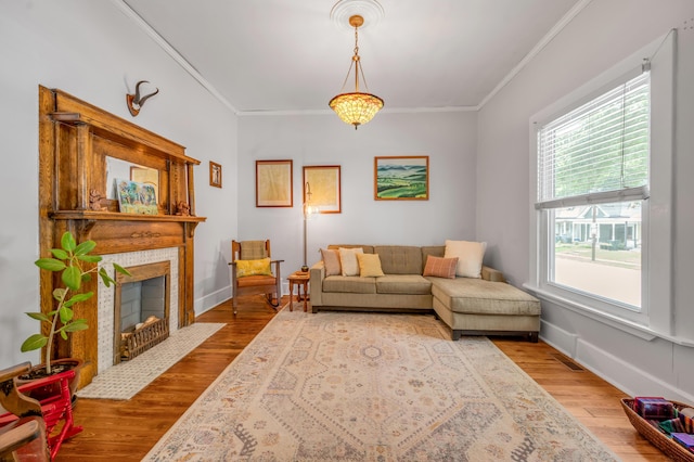 334 Oldham Ave, Lexington, KY 40502 - living room featuring ornamental molding, wood finished floors, and a fireplace