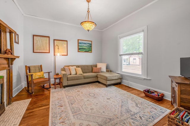 334 Oldham Ave, Lexington, KY 40502 - living room featuring crown molding, wood finished floors, and a fireplace with flush hearth