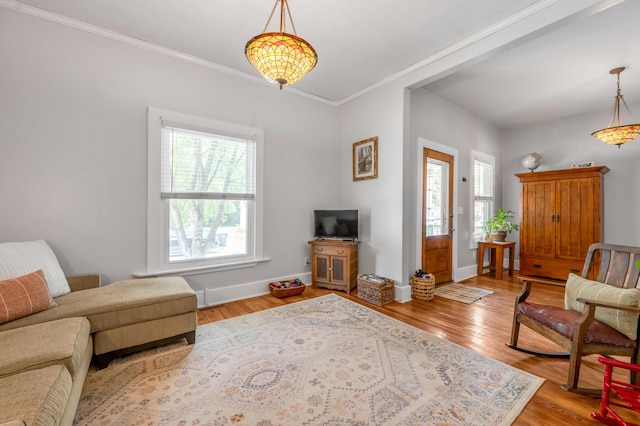 334 Oldham Ave, Lexington, KY 40502 - living area featuring healthy amount of natural light, ornamental molding, and wood finished floors