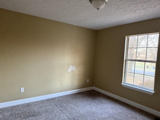 80 Panda Ln, Russell Springs, KY 42642 - unfurnished room with carpet and a textured ceiling