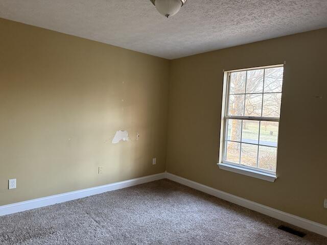 80 Panda Ln, Russell Springs, KY 42642 - unfurnished room featuring a textured ceiling and carpet floors
