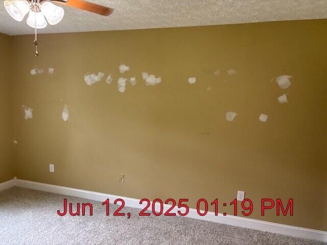 80 Panda Ln, Russell Springs, KY 42642 - empty room featuring a ceiling fan, carpet, and a textured ceiling