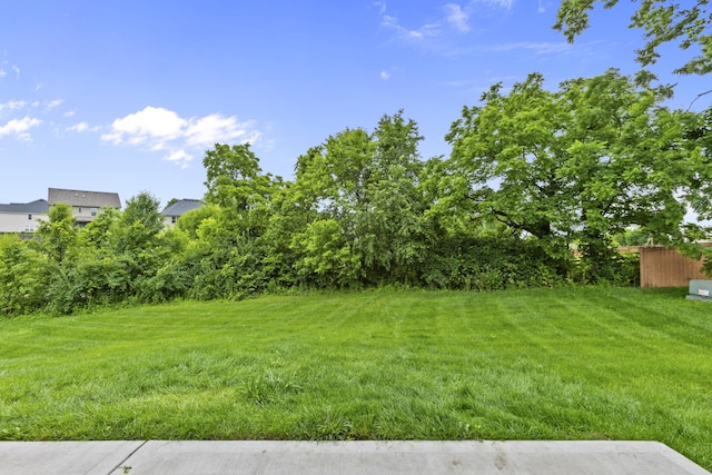 111 Kara Bryn Cv, Georgetown, KY 40324 - view of green lawn