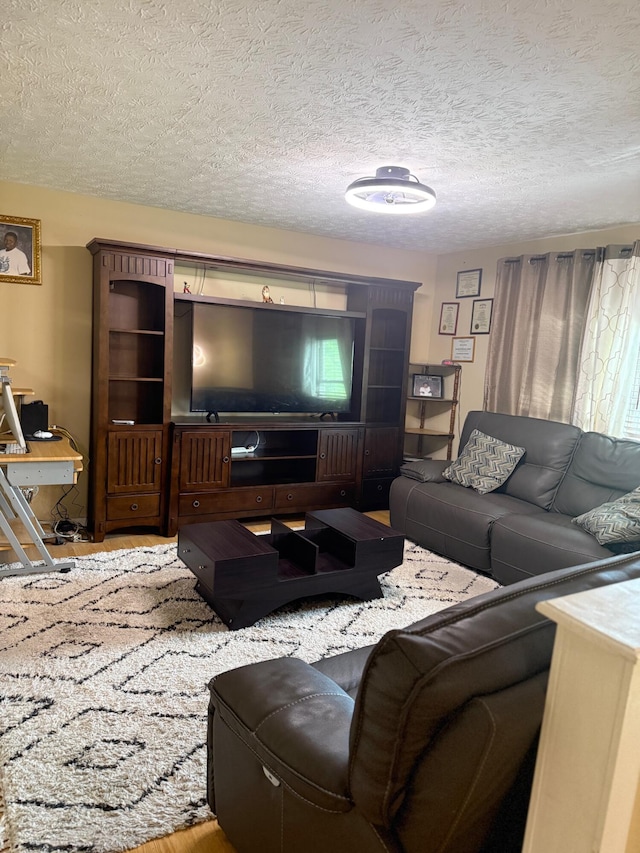 2829 Easthills Dr, Lexington, KY 40517 - living area featuring a textured ceiling