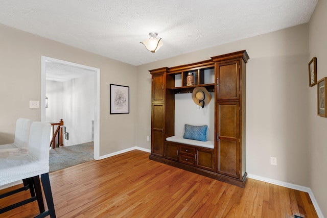 441 Cromwell Way, Lexington, KY 40503 - mudroom featuring light wood-type flooring and a textured ceiling