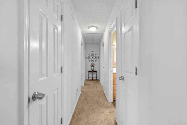 441 Cromwell Way, Lexington, KY 40503 - hall with attic access, light colored carpet, and a textured ceiling