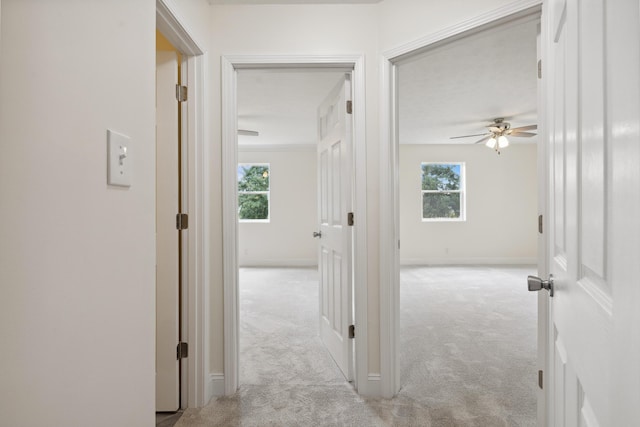 117 S Cumberland St, Berea, KY 40403 - hallway featuring carpet flooring and plenty of natural light