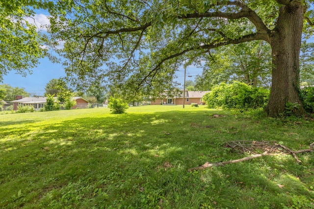117 S Cumberland St, Berea, KY 40403 - view of green lawn