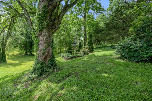 2968 Delong Rd, Lexington, KY 40515 - view of green lawn featuring a wooded view