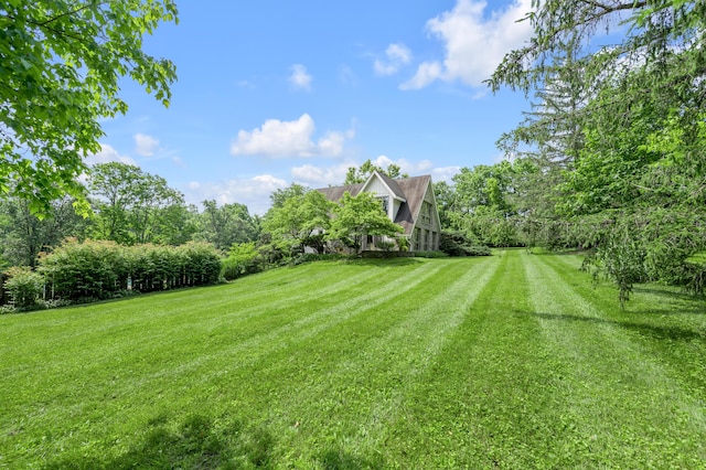 2968 Delong Rd, Lexington, KY 40515 - view of grassy yard