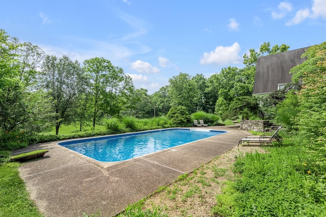 2968 Delong Rd, Lexington, KY 40515 - outdoor pool featuring a patio