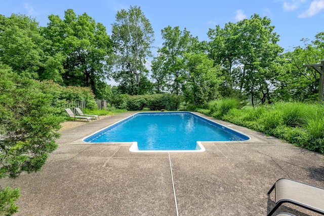 2968 Delong Rd, Lexington, KY 40515 - outdoor pool featuring a patio area and view of scattered trees