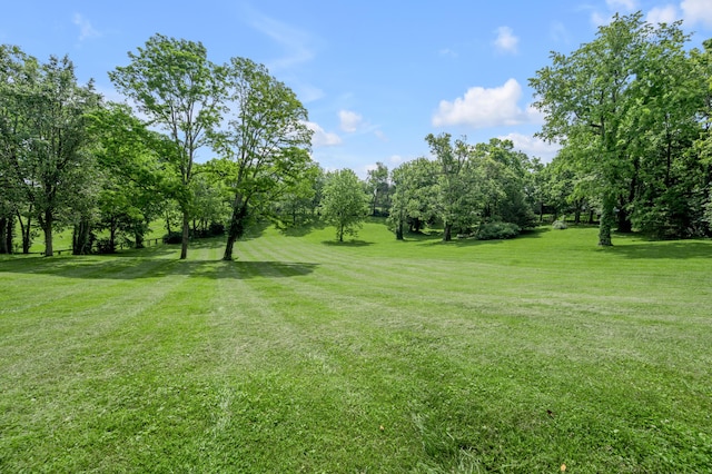2968 Delong Rd, Lexington, KY 40515 - view of grassy yard with view of scattered trees