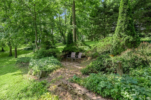 2968 Delong Rd, Lexington, KY 40515 - view of nature