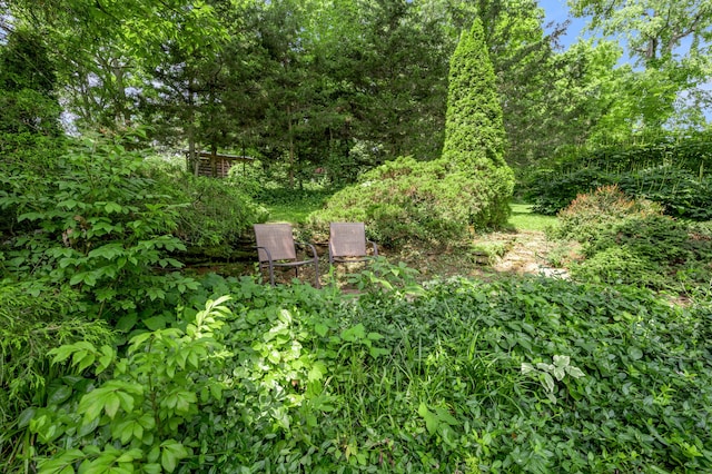 2968 Delong Rd, Lexington, KY 40515 - view of yard