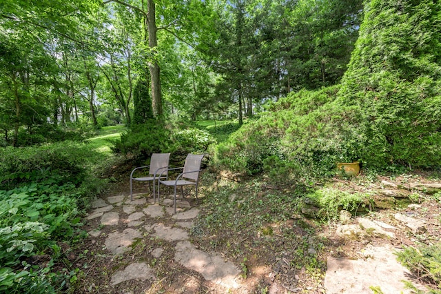 2968 Delong Rd, Lexington, KY 40515 - view of yard