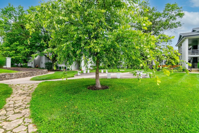 395 Redding Rd Unit 30, Lexington, KY 40517 - view of green lawn