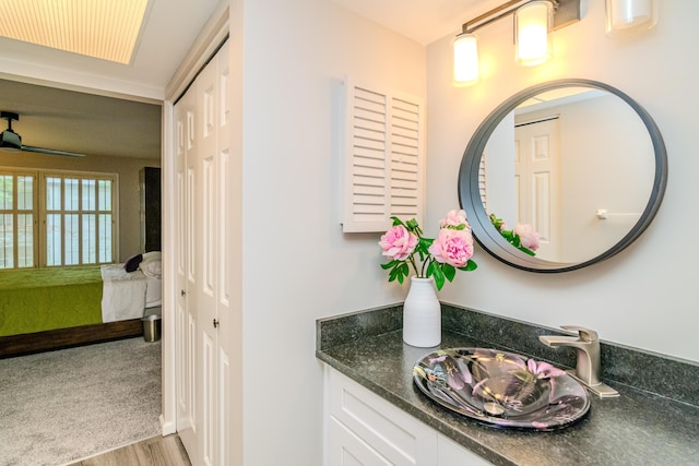 395 Redding Rd Unit 30, Lexington, KY 40517 - ensuite bathroom with wood finished floors and vanity