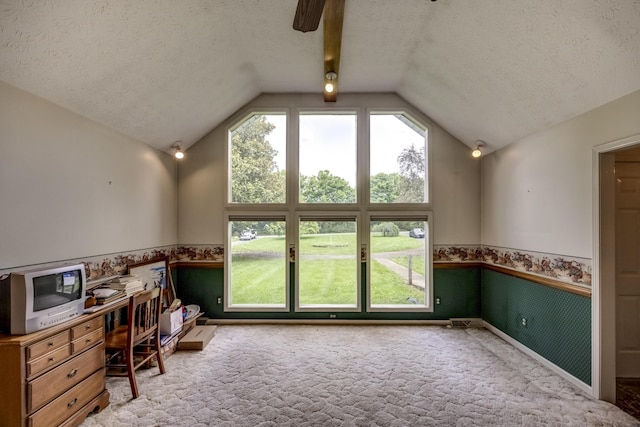 560 Kemper Ln, Danville, KY 40422 - unfurnished office featuring wainscoting, a textured ceiling, carpet flooring, lofted ceiling, and plenty of natural light