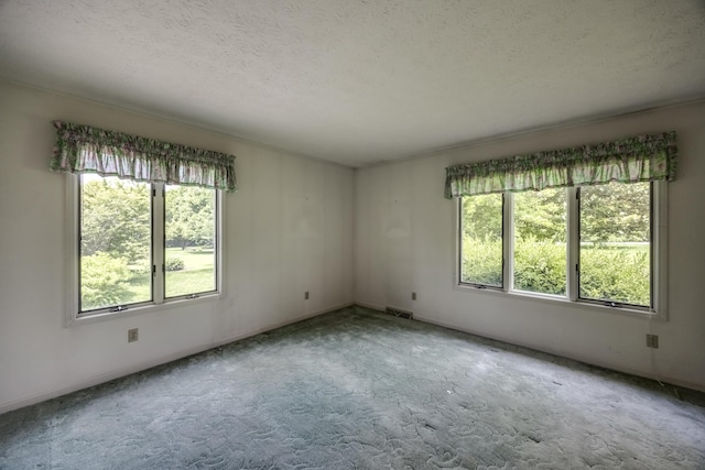 560 Kemper Ln, Danville, KY 40422 - carpeted empty room with plenty of natural light and a textured ceiling