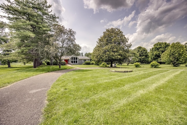 560 Kemper Ln, Danville, KY 40422 - view of front of house featuring a front lawn