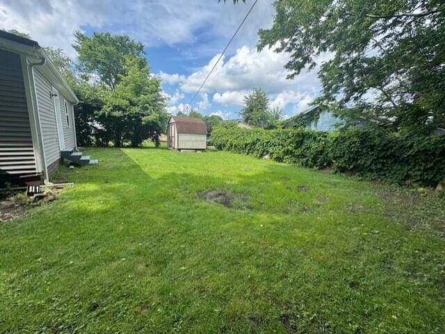 524 Clark St, Danville, KY 40422 - view of grassy yard featuring a storage unit and entry steps