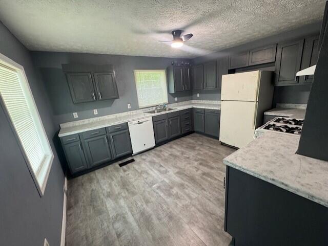 524 Clark St, Danville, KY 40422 - kitchen with white appliances, a ceiling fan, light wood finished floors, a textured ceiling, and light countertops