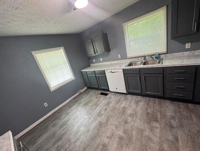 524 Clark St, Danville, KY 40422 - kitchen with dishwasher, light wood-style flooring, healthy amount of natural light, a textured ceiling, and vaulted ceiling