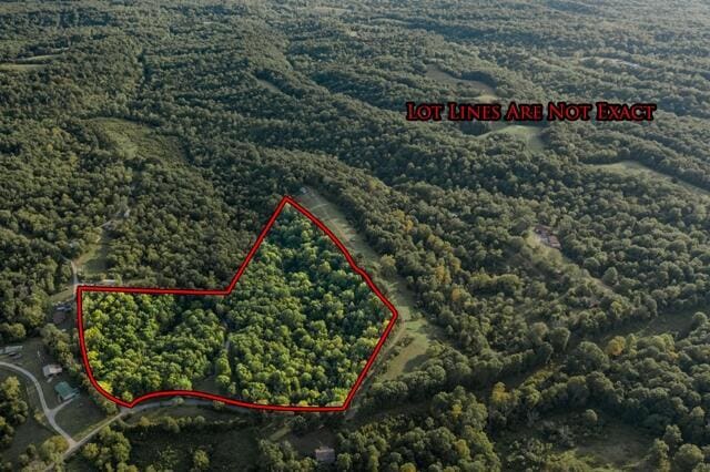 1181 Tracy Rd, Lawrenceburg, KY 40342 - aerial view of property's location with property boundaries highlighted