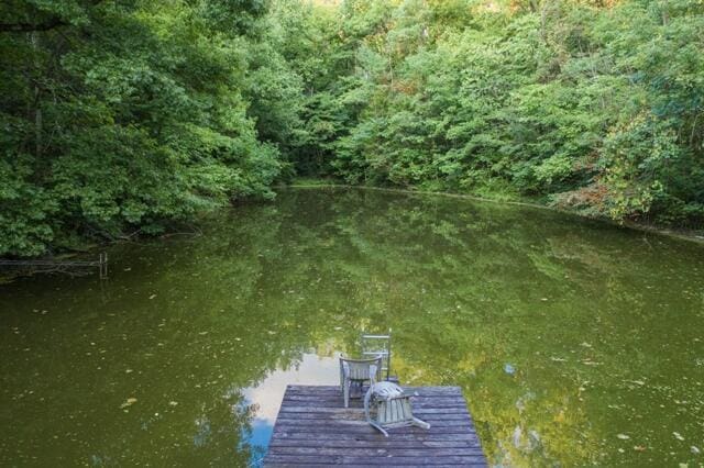 1181 Tracy Rd, Lawrenceburg, KY 40342 - view of dock area