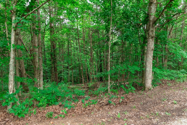 1181 Tracy Rd, Lawrenceburg, KY 40342 - view of wooded area
