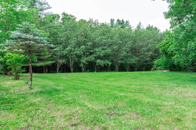 1181 Tracy Rd, Lawrenceburg, KY 40342 - view of grassy yard featuring a forest view