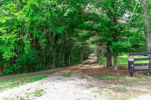1181 Tracy Rd, Lawrenceburg, KY 40342 - view of dirt / gravel driveway featuring a wooded view