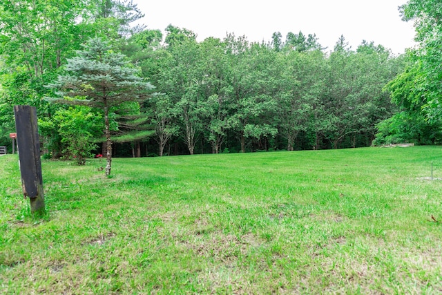 1181 Tracy Rd, Lawrenceburg, KY 40342 - view of grassy yard with a wooded view