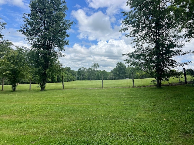 2441 Rogers Rd, Lancaster, KY 40444 - view of green lawn