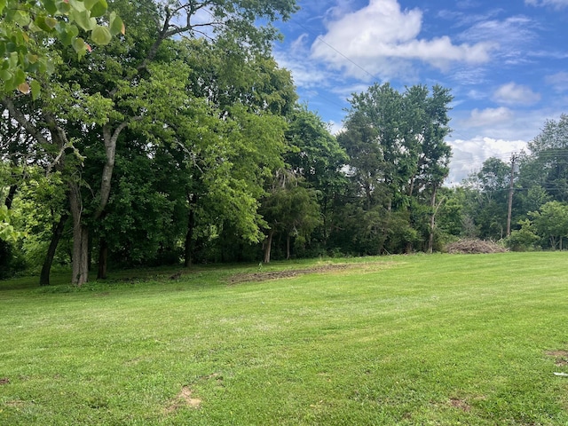 2441 Rogers Rd, Lancaster, KY 40444 - view of green lawn