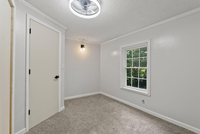 4822 US Highway 27 N, Cynthiana, KY 41031 - empty room with a textured ceiling, carpet floors, and crown molding