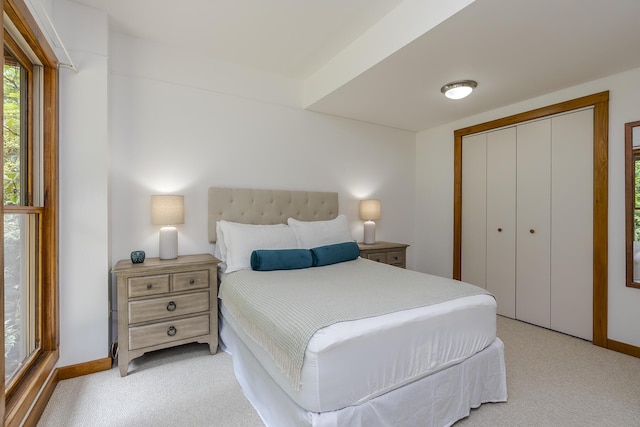 224 Pine Valley Rd, Berea, KY 40403 - bedroom featuring light carpet and a closet