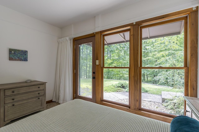 224 Pine Valley Rd, Berea, KY 40403 - bedroom with multiple windows and access to outside
