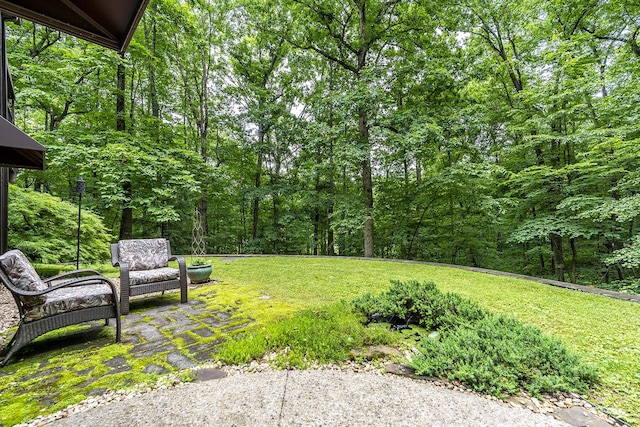 224 Pine Valley Rd, Berea, KY 40403 - view of grassy yard with a forest view