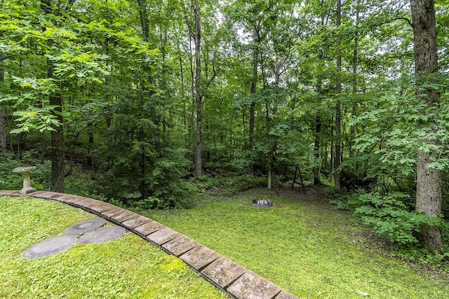 224 Pine Valley Rd, Berea, KY 40403 - view of green lawn featuring a view of trees