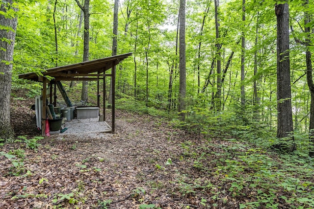 224 Pine Valley Rd, Berea, KY 40403 - view of yard featuring a view of trees