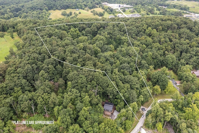 224 Pine Valley Rd, Berea, KY 40403 - aerial view of property's location featuring a forest and property boundaries highlighted