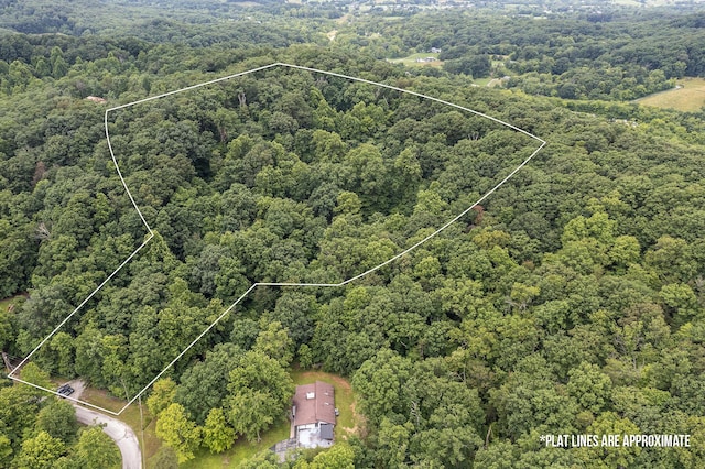 224 Pine Valley Rd, Berea, KY 40403 - aerial view of property's location featuring a forest and property parcel outlined