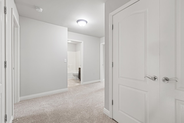4464 Stuart Hall Blvd Unit 9101, Lexington, KY 40509 - hall with light colored carpet and baseboards