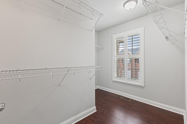 4464 Stuart Hall Blvd Unit 9101, Lexington, KY 40509 - walk in closet with dark wood-type flooring