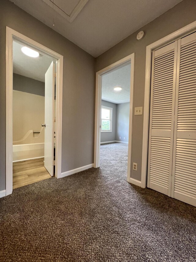 20 Heather Ln, Winchester, KY 40391 - corridor with carpet floors and attic access