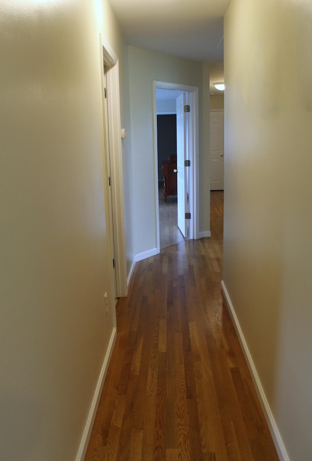5515 Van Meter Rd, Winchester, KY 40391 - hallway featuring wood finished floors and baseboards