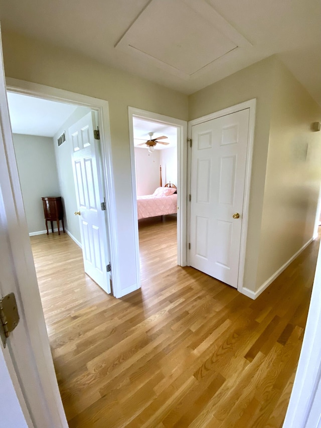 5515 Van Meter Rd, Winchester, KY 40391 - hall with light wood-type flooring